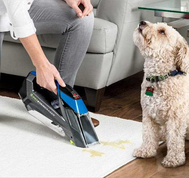 BISSELL Cordless Pet Stain Lifter
