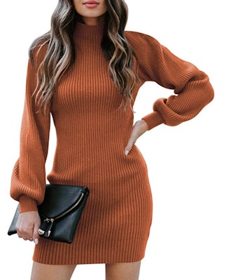 Caracilia Turtleneck Sweater Bodycon 