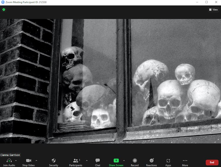 This scary Zoom background for Halloween features a stack of human skulls in a window.