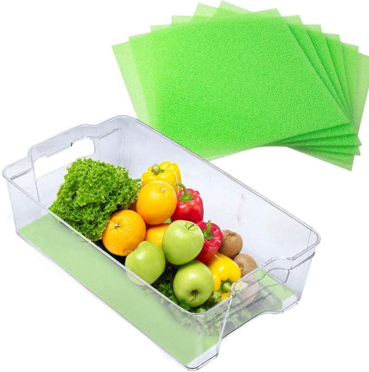 Bulletshaker Fruit & Veggie Life Extender Liner (4-Pack)