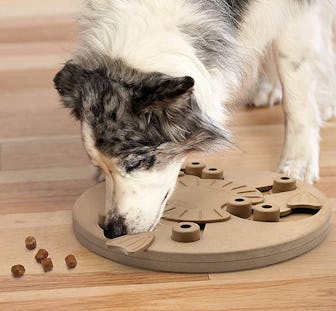 Nina Ottosson By Outward Hound Interactive Puzzle Game Dog Toy