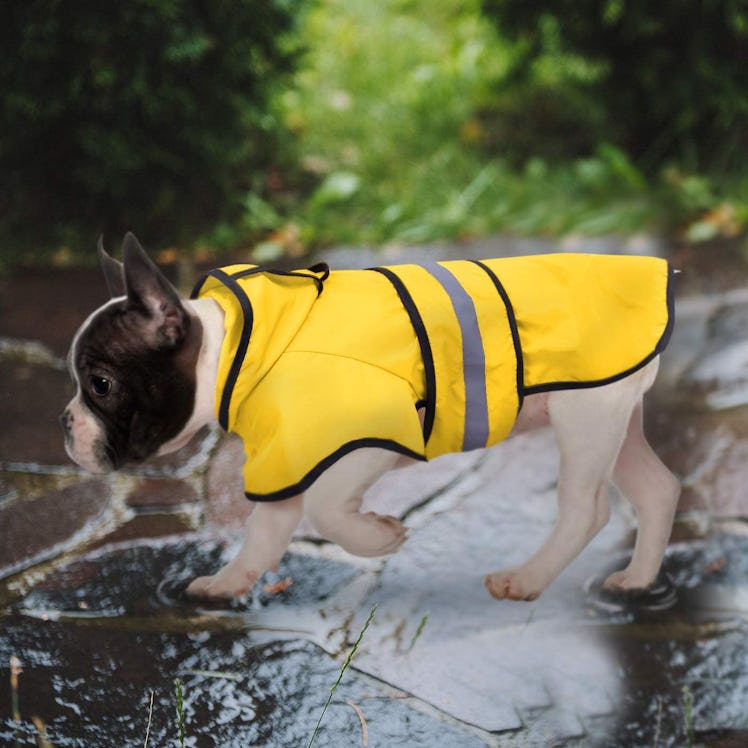 HDE Dog Raincoat