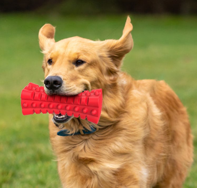 VANFINE Indestructible Chew Toy