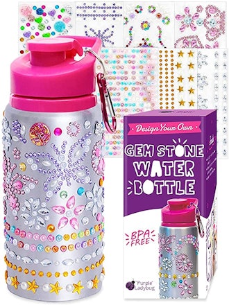 Purple Ladybug Decorate Your Own Water Bottle Kit