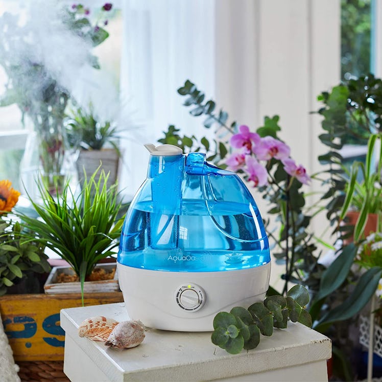 AquaOasis Cool Mist Humidifier for Bedrooms & Large Rooms