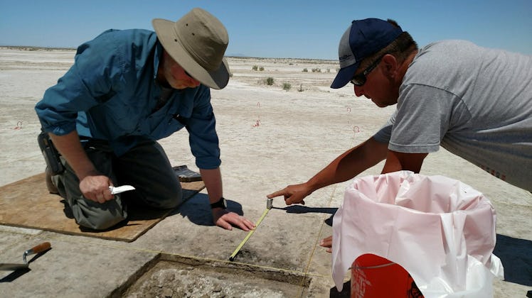Researchers dig at the Wishbone site, where ancient tobacco use was discovered.