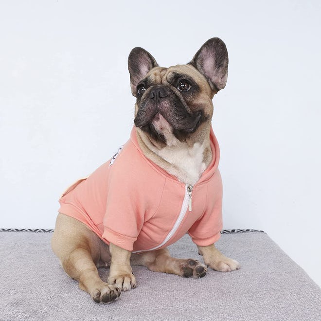 iChoue Dog Full-Zip Hoodie Sweatshirt