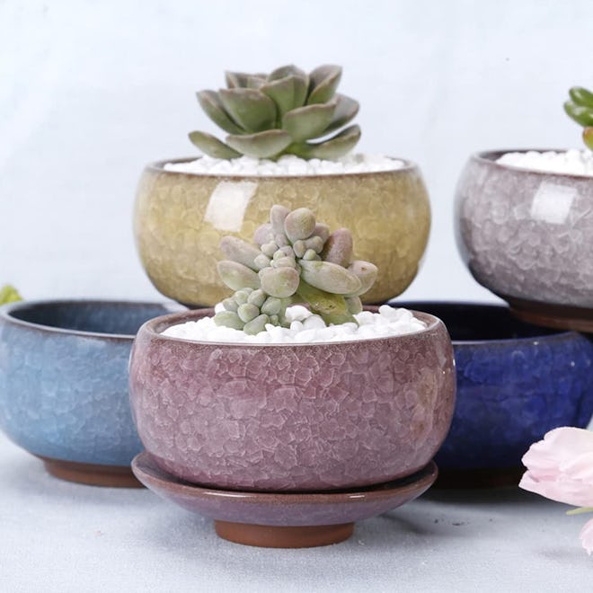 Cabilock Ceramic Succulent Planter Pots (3 Pack)