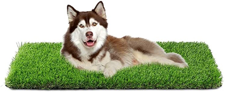 Fezep Artificial Dog Grass Mat