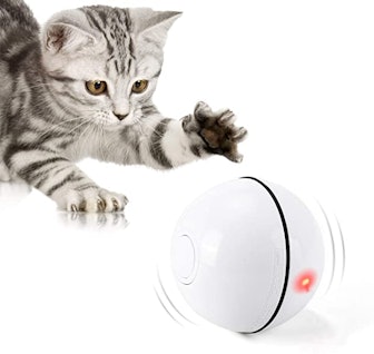 WWVVPET Ball with LED Light Interactive Cat Toy