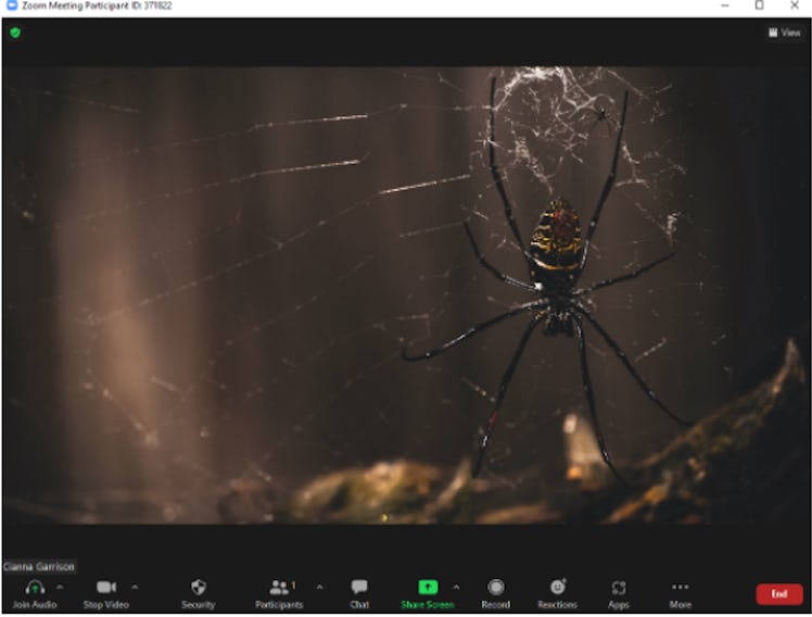 These Halloween Zoom backgrounds include a creepy spider in its web.