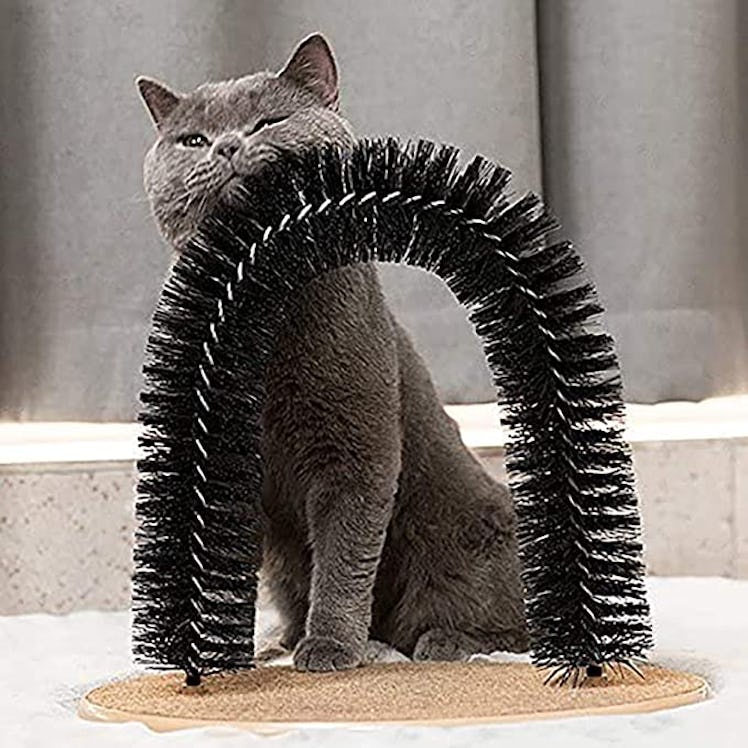 Hollypet Cat Arch Self Grooming and Massaging Brush Toy