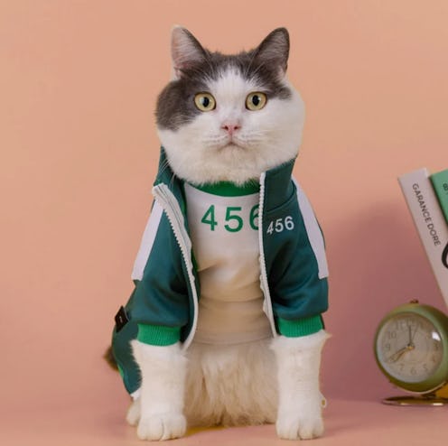 A Squid Game halloween costume for cats from Etsy shop PUPPERY.