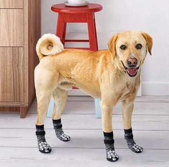 EXPAWLORER Double-Sided Anti-Slip Dog Socks (6-Pack)