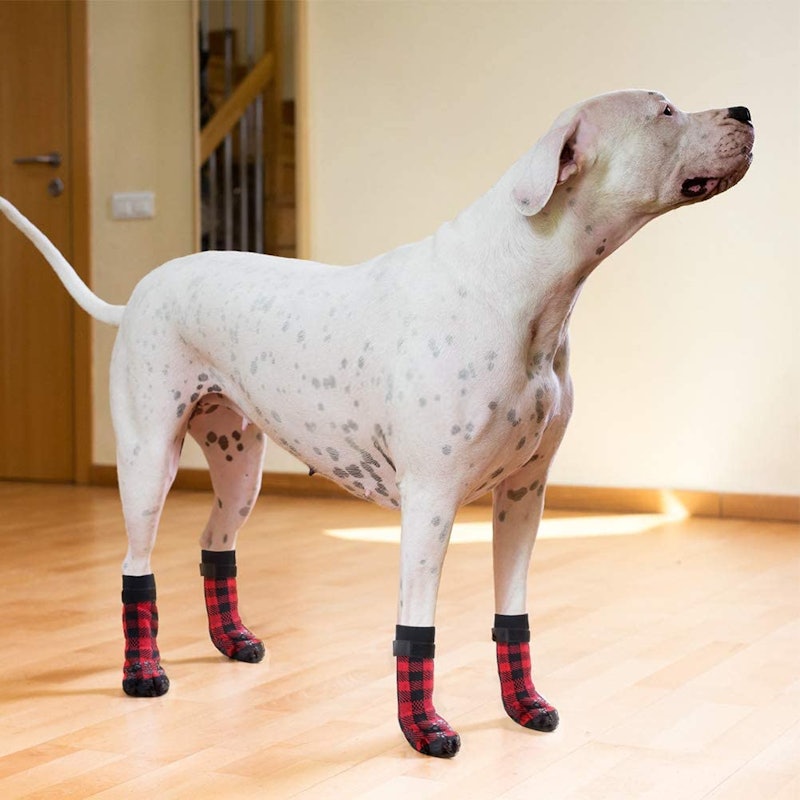 best dog socks for hardwood floors