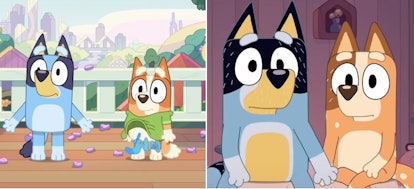 Bluey may have hinted that Chilli suffered a miscarriage. 