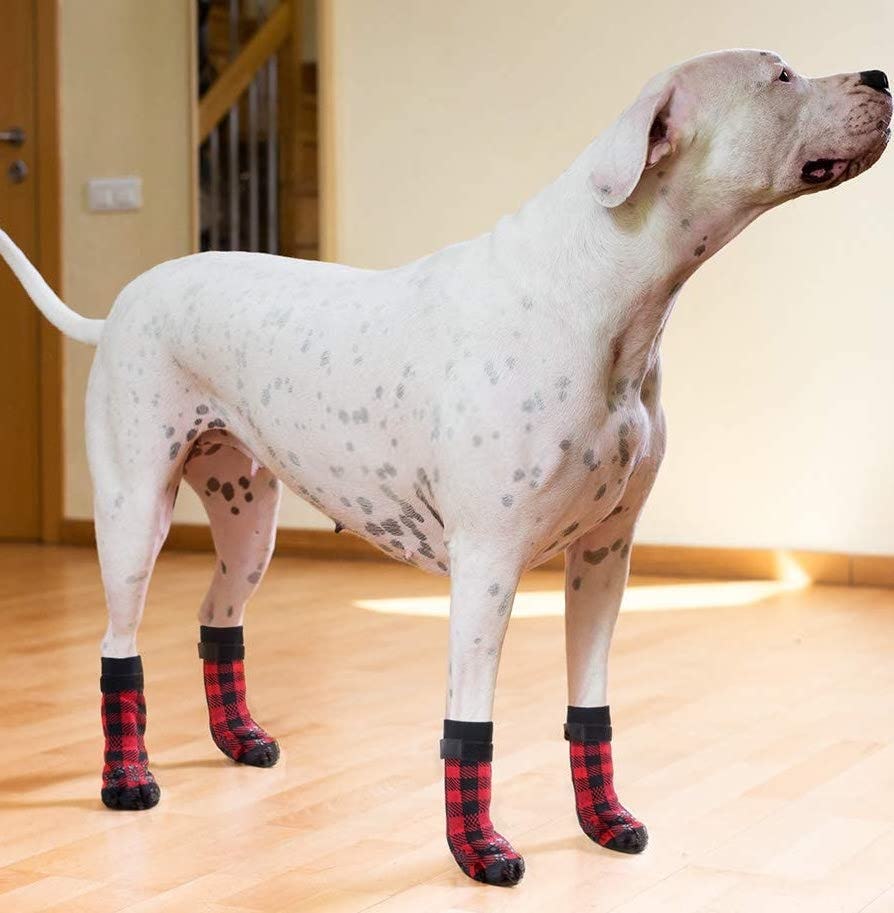 The 6 Best Dog Socks For Hardwood Floors In 2021