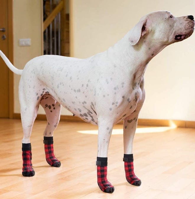 SCENEREAL Anti-Slip Dog Socks (6-Pack)
