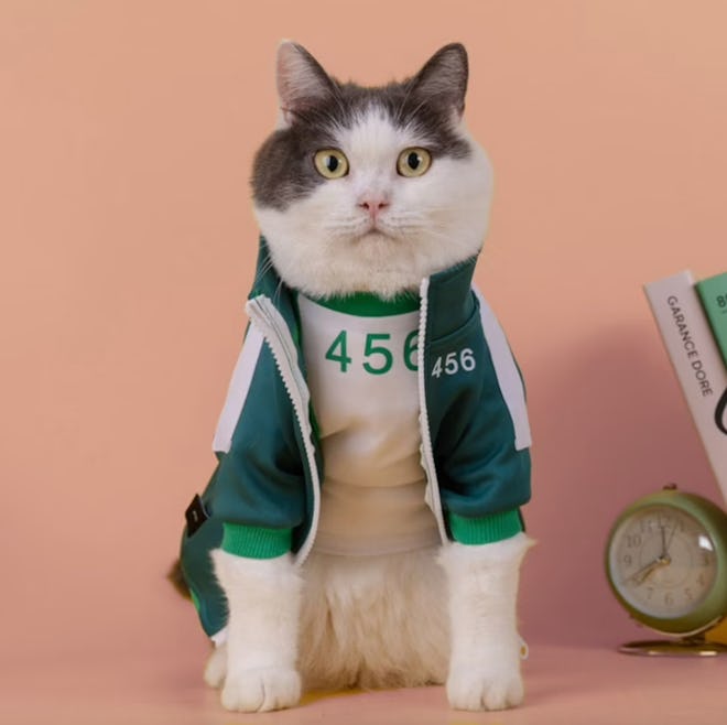 Squid Game Contestant Set | Full Set