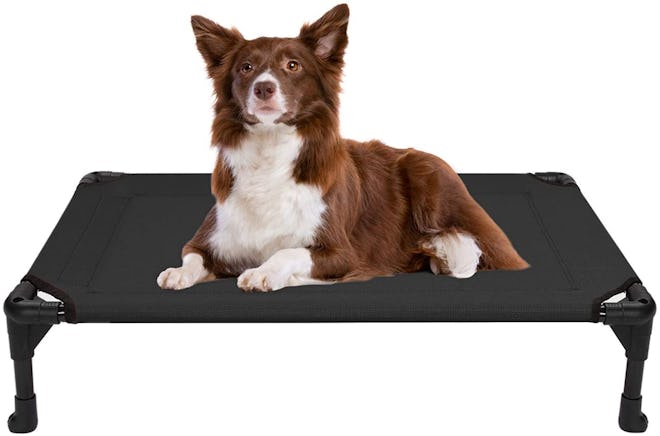 Veehoo Cooling Elevated Dog Bed