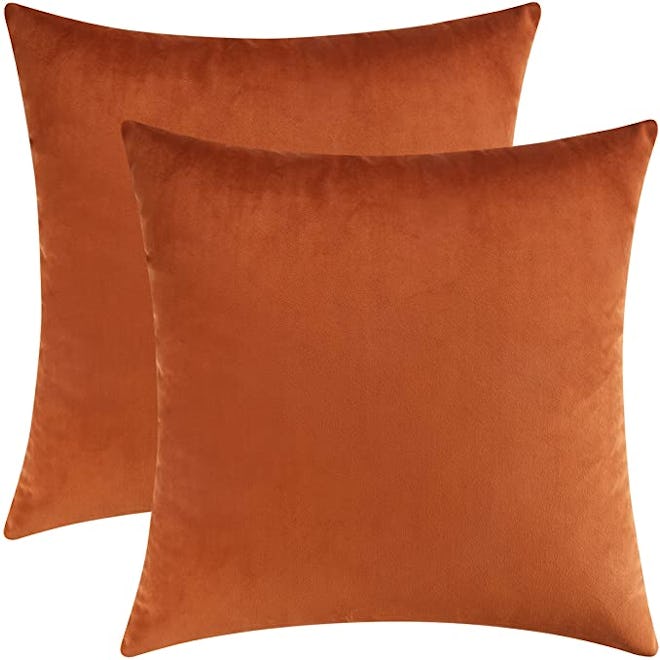 Mixhug Velvet Square Decorative Throw Pillow Covers (Set of 2)