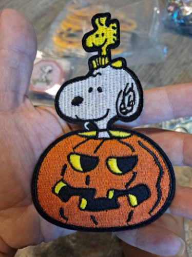These cheugy Halloween trends include a Snoopy iron-on patch.