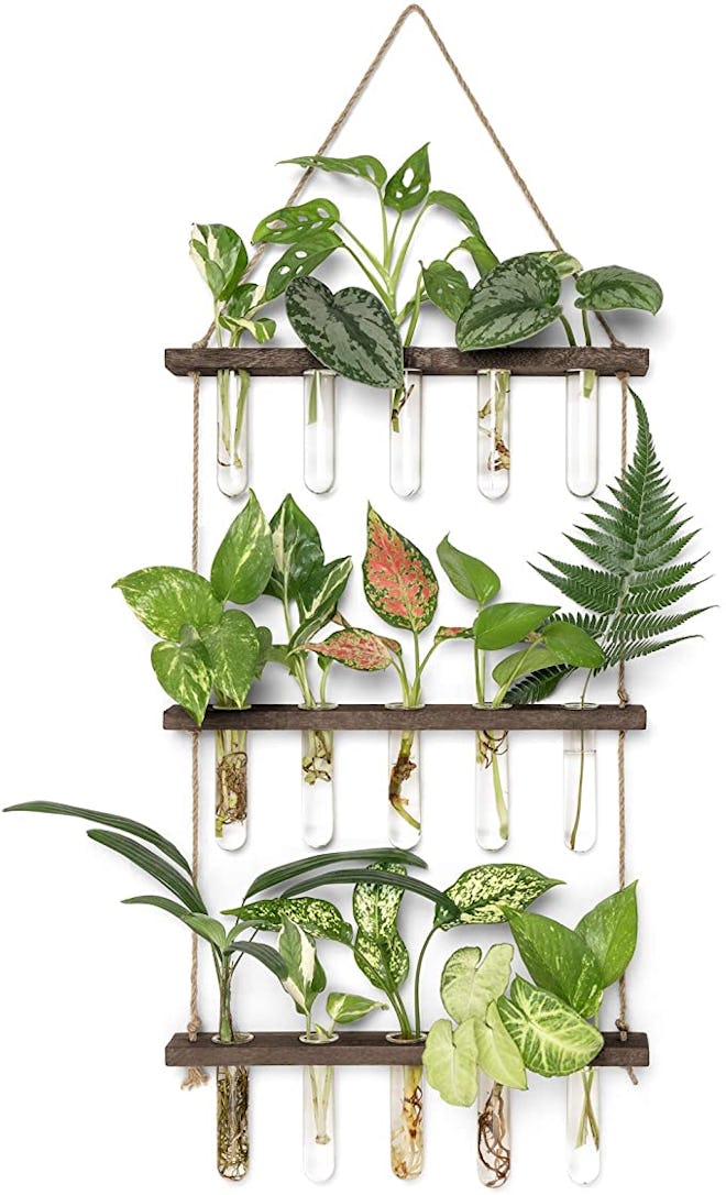 Mkono Wall Hanging Planter Terrarium with Wooden Stand