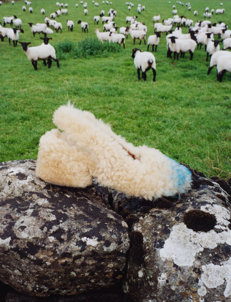 A Marni shoe made from faux shearling in front of a flock of sheep