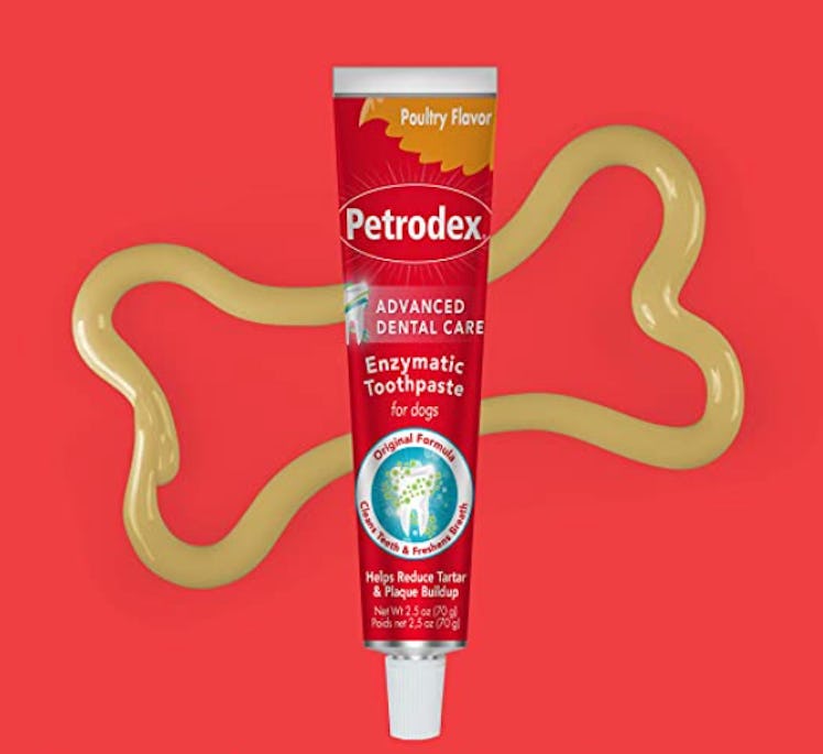 Petrodex Advanced Dental Care Enzymatic Dog Toothpaste