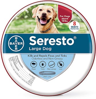 Seresto Flea and Tick Collar
