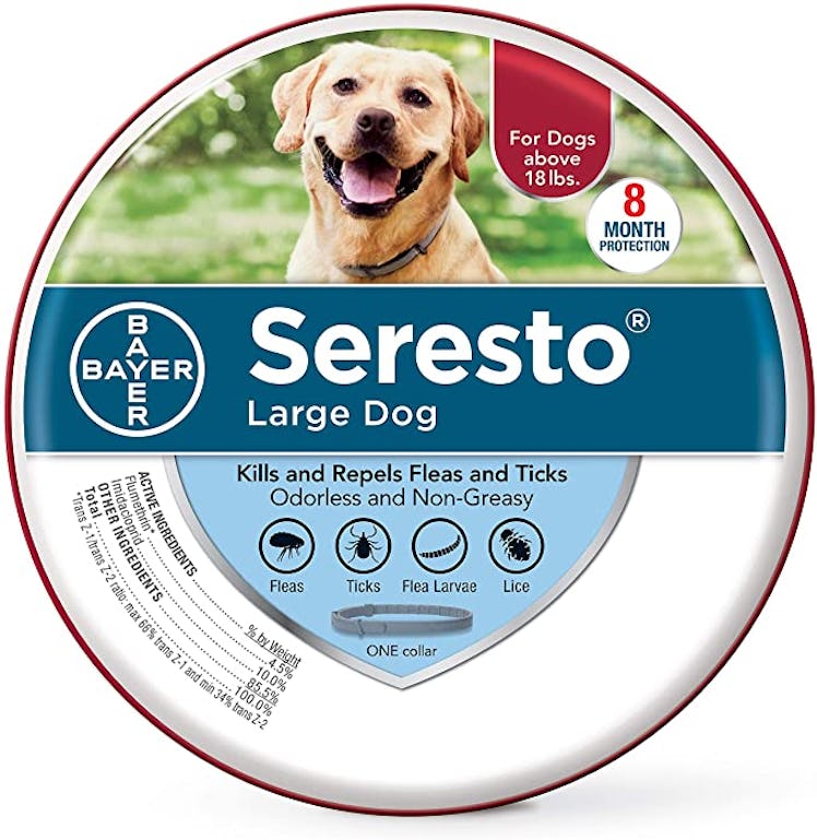 Seresto Flea and Tick Collar