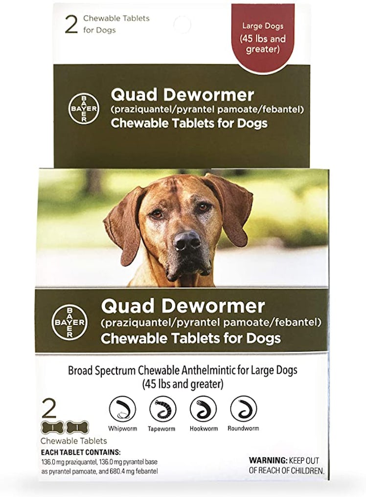 Bayer Chewable Quad Dewormer (2 Count)