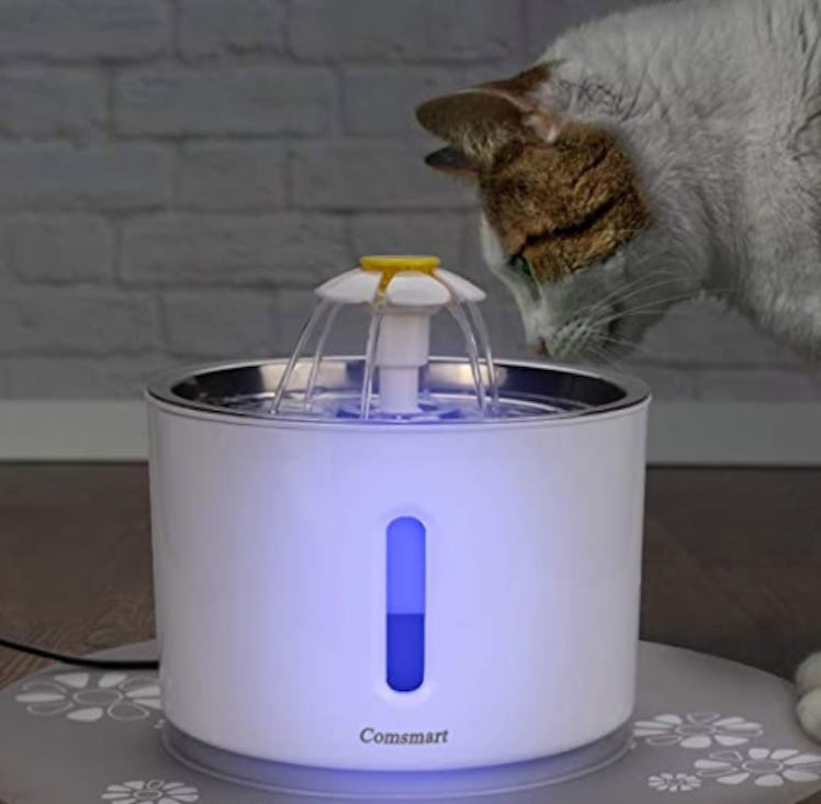 Comsmart LED Pet Fountain