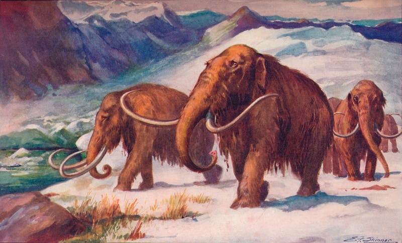 Ice Age, mammoth