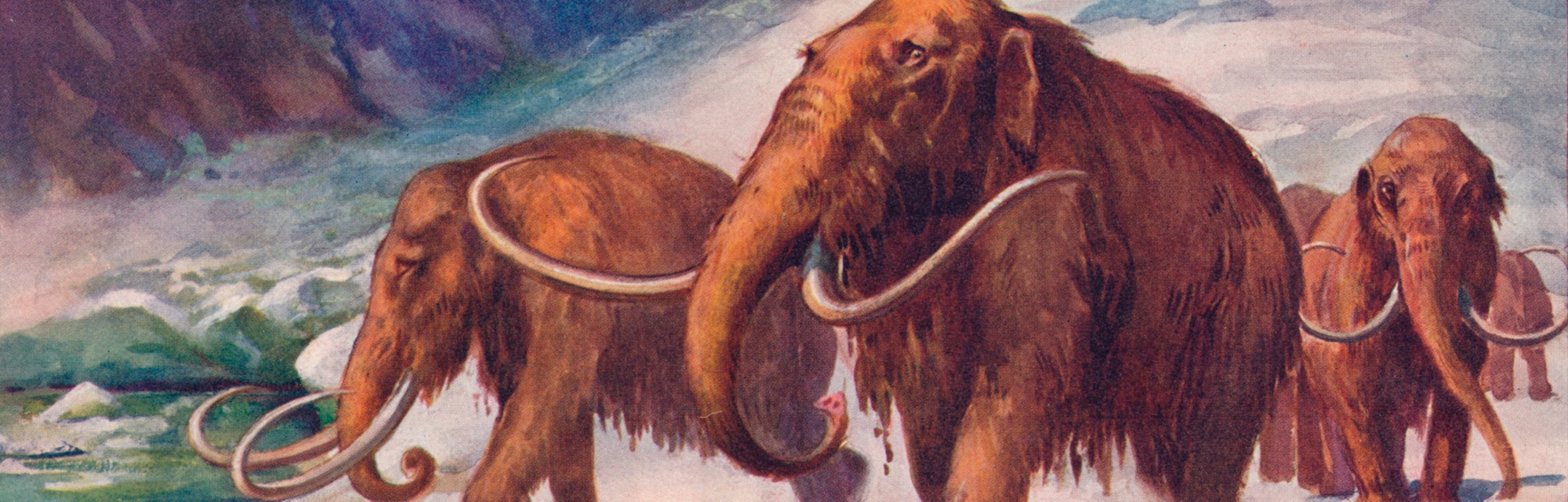 Ice Age, mammoth