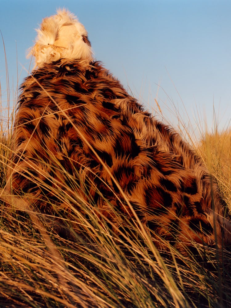 Model in leopard print Junya Watanabe cape stands in field.