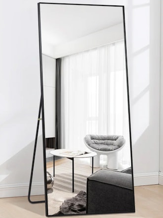 Contemporary Full Length Mirror