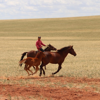 A person riding a horse in a valley
