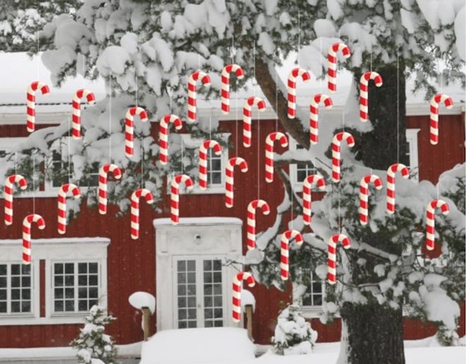 Image of a red house, covered in snow, with a snow-covered tree out front, decorated in hanging cand...