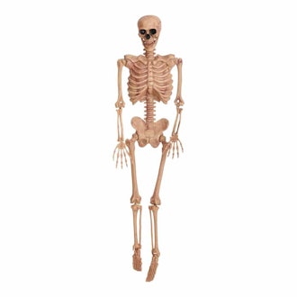 Hanging Skeleton 