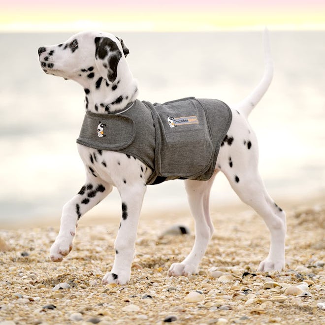 Thundershirt Classic Dog Anxiety Jacket