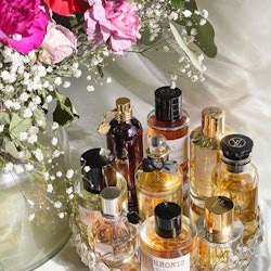 Viral TikTok perfumes