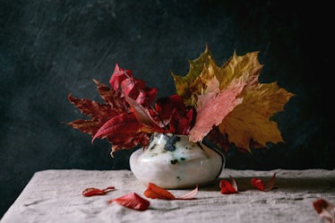 White vase holding colorful fall leaves