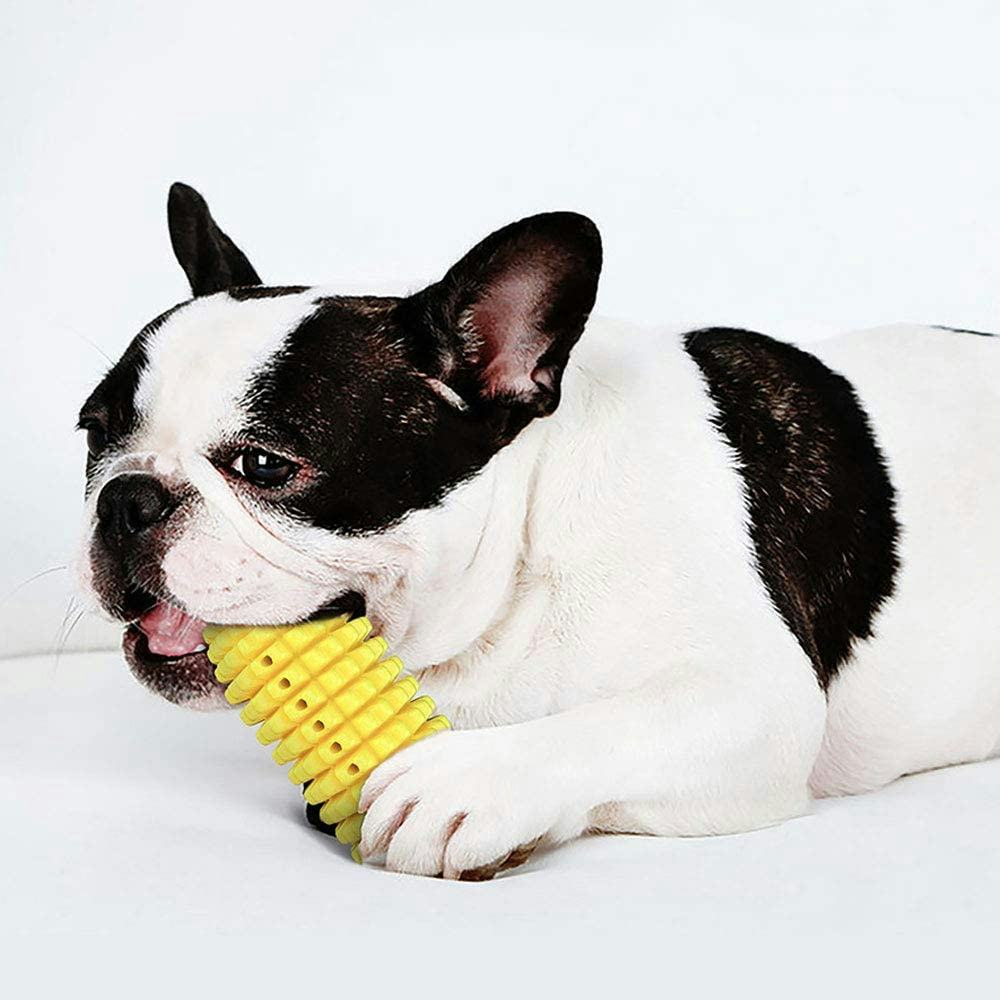 CEESC Toothbrush Chew Toy