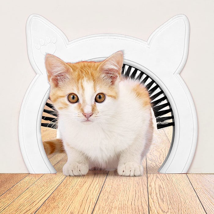 PAWSM Cat Door with Brush