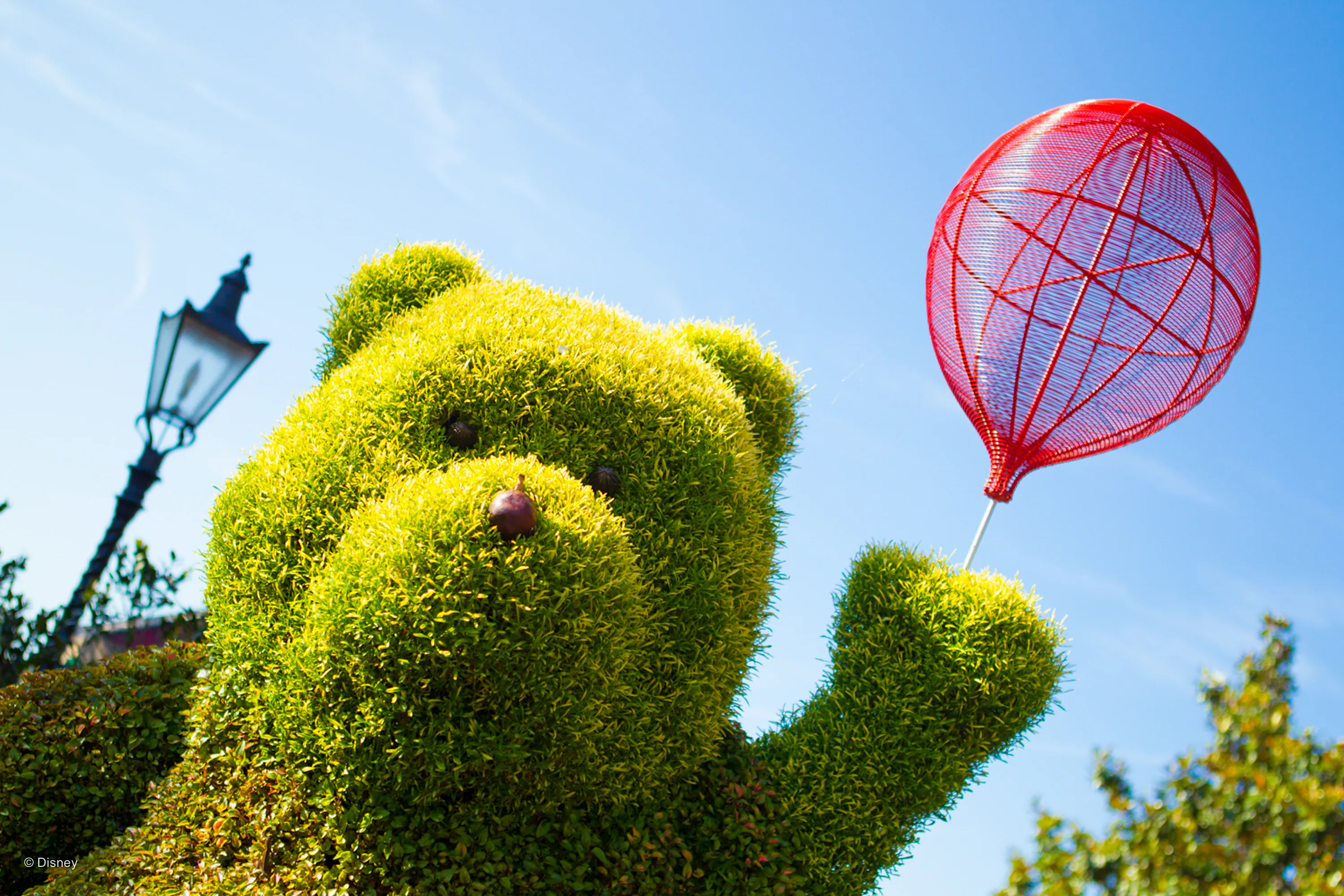 Disney 'Winnie The Pooh' Rides & Attractions For The 95th Anniversary