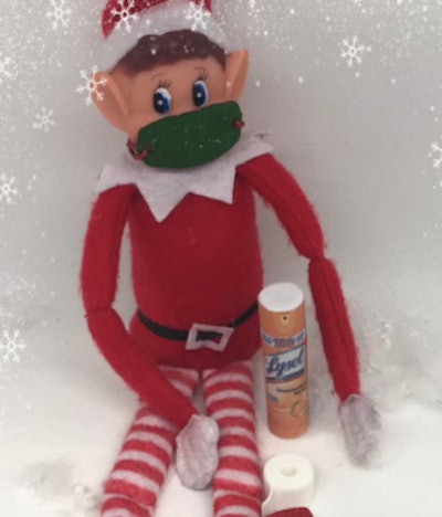 Elfie with Lysol and face mask
