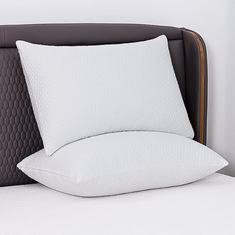 Iyee Nature Standard-Size Memory Foam Pillows (2-Pack)