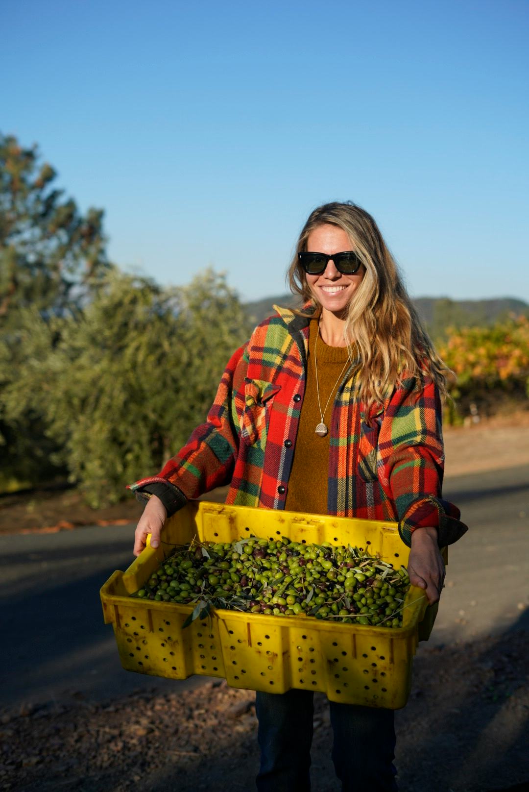 Allison Carrol wearing a plaid flannel jacket and sunglasses holding a large plastic bin full of oli...