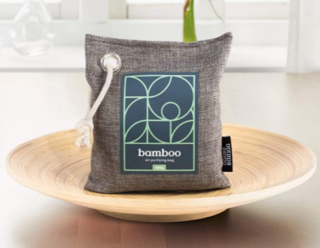 House Edition Bamboo Charcoal Air Purifying Bag (4-Pack)